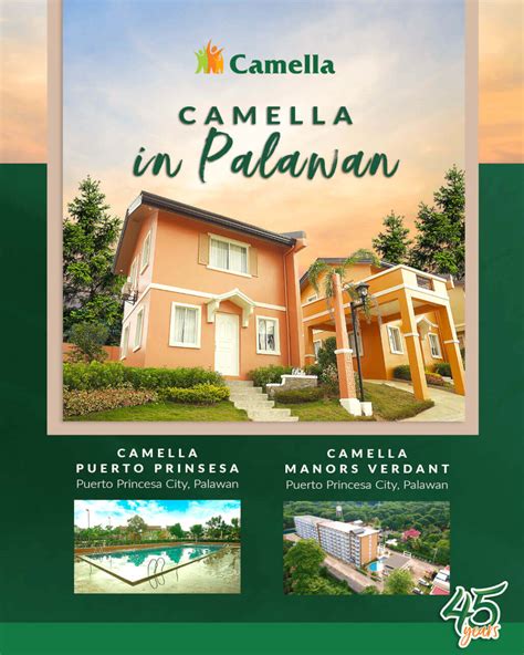 brgy. sicsican puerto princesa palawan|Sicsican, Puerto Princesa, Palawan House and lot For Sale.